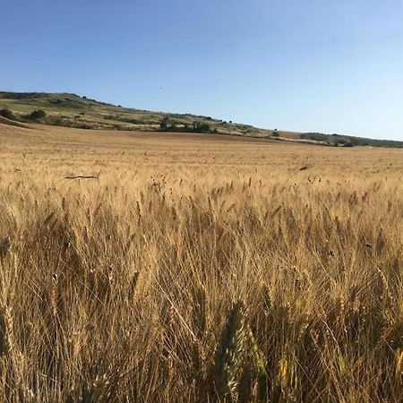 Gibbesi Country Farm Piccolo Cottage Naro Εξωτερικό φωτογραφία